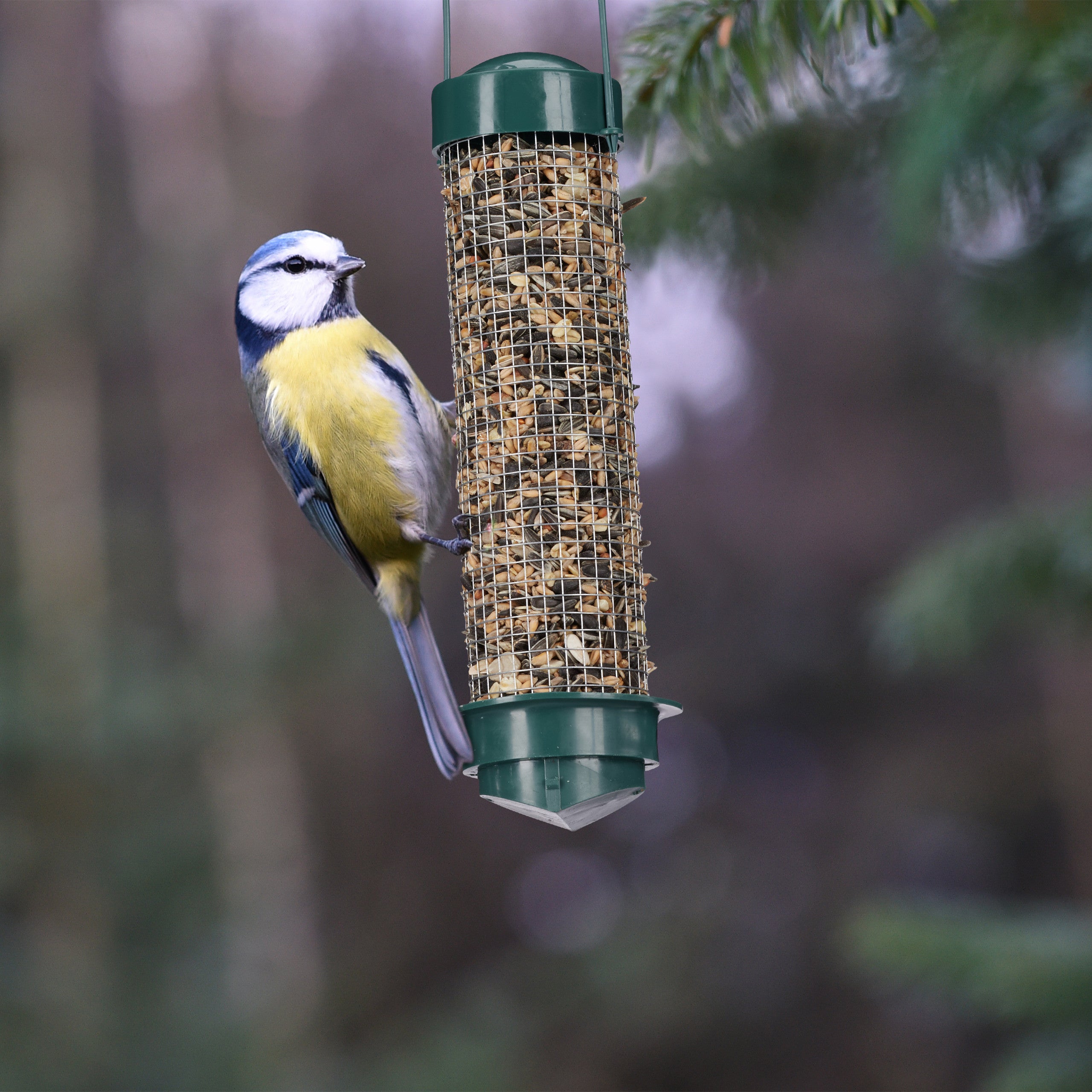 Sipiris 2PCS 450g Uccelli Alimentatore Automatico Alimentatore A Gabbia