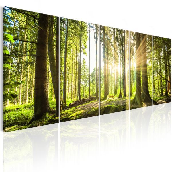 Tableau Sunlight 200x80 cm | Leroy Merlin