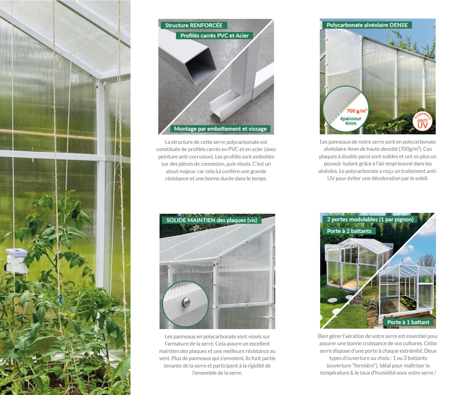 Serre polycarbonate avec porte à double battant sur chaque pignon - 8,5m² - 2