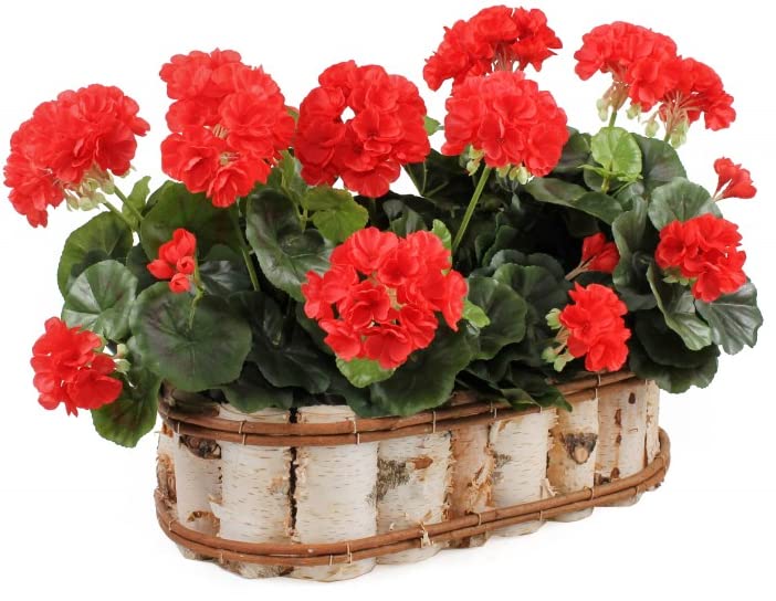 Donica doniczka z drewna brzozowego z wkładem wewnętrznym naturalna owalna - KOTARBAU