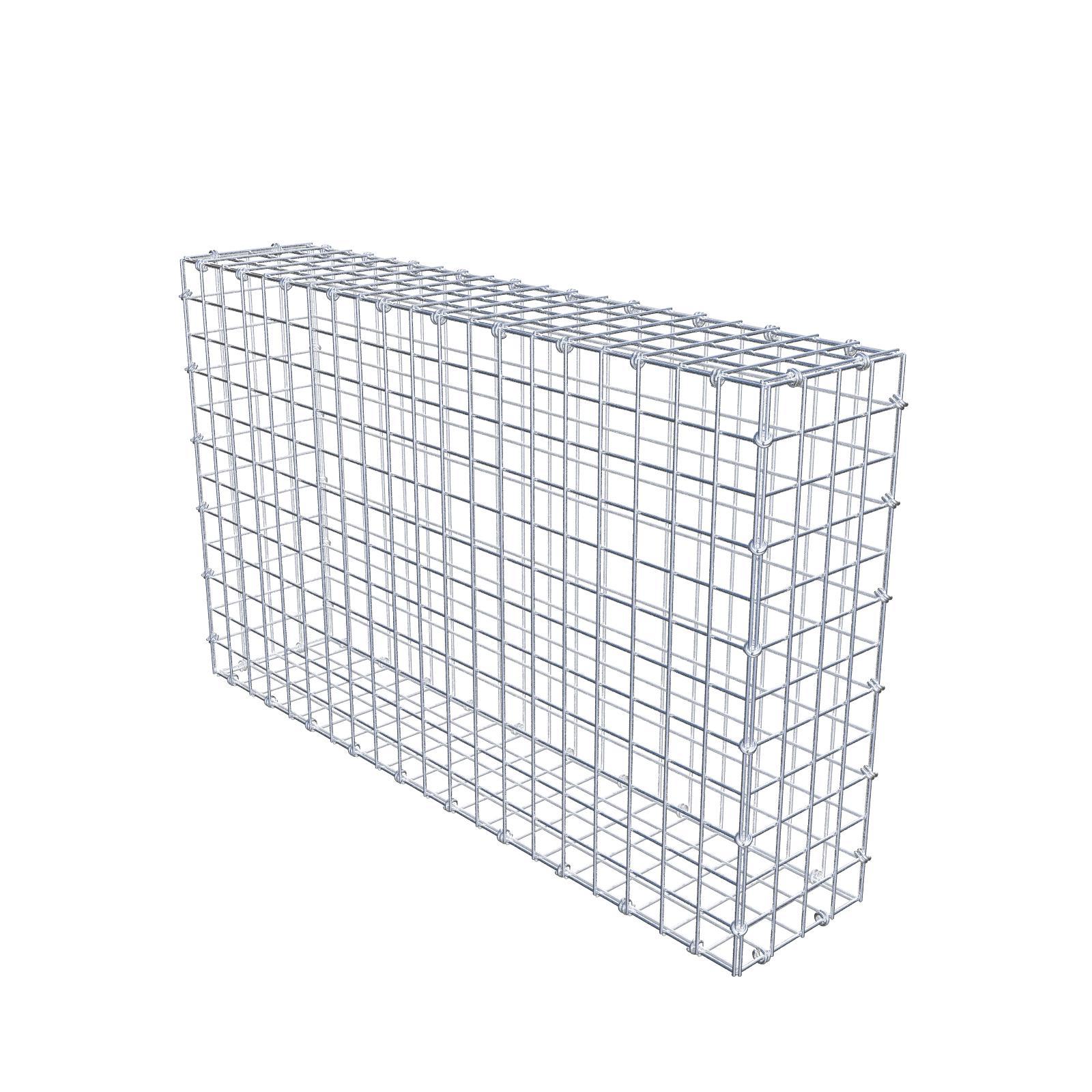 Gabion 100 cm x 60 cm x 20 cm (dł. x wys. x gł.), rozmiar oczek 5 x 5 cm, pierścień spiralny