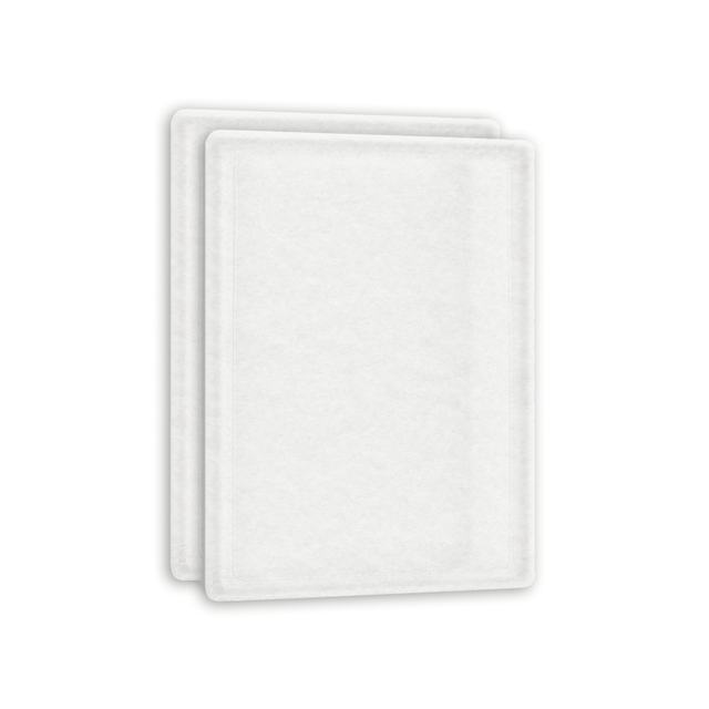 SINEA - Filtres G4 x2 compatible VMC SAUTER Gorner, Medven et ATLANTIC Primocosy, HR 255 x 191 x 6 mm haute efficacité de filtration de l'air