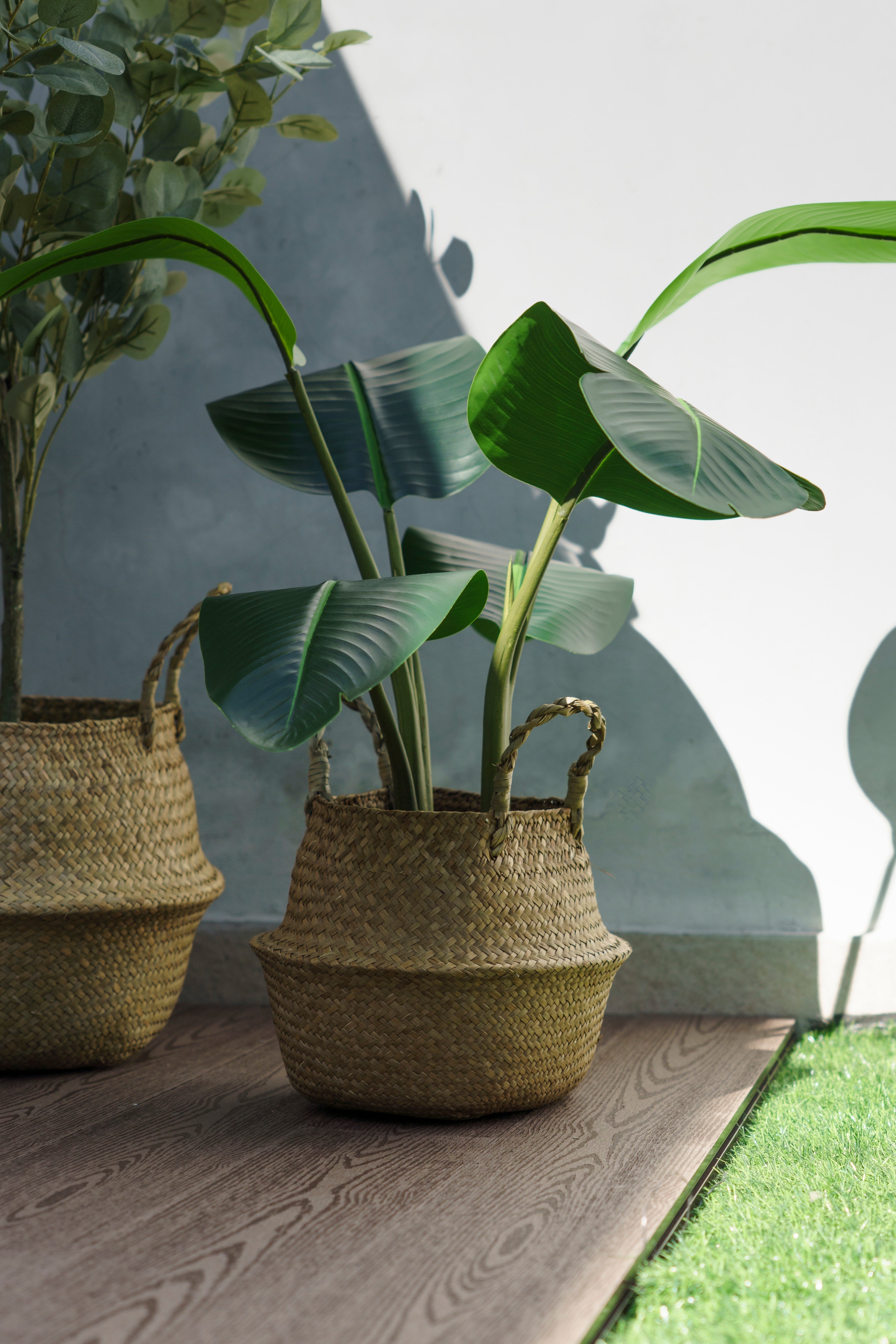 Planta Artificial Ave del Paraíso 80 cm – Strelitzia Decorativa ideal para Casa y Oficina - 2