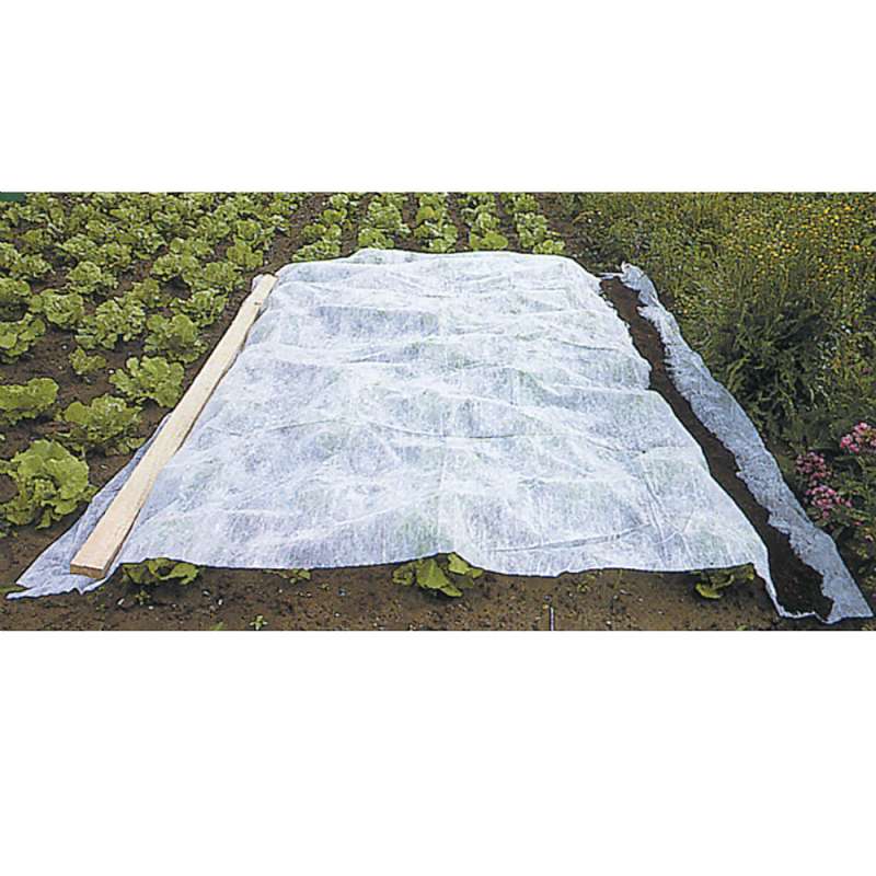 Voile d'hivernage blanc 60g-m2 WERKA PRO 2 x 5m - 4