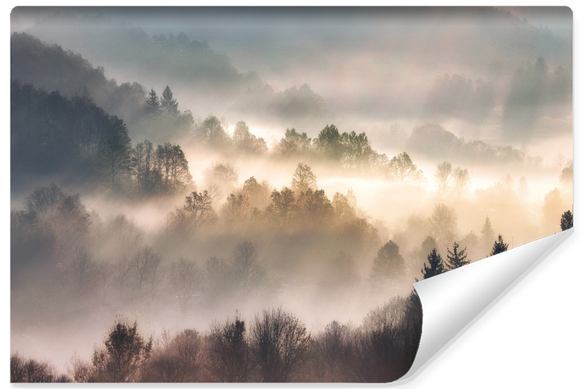 Vlieseline papel pintado fotografia bosque niebla 3d paisaje para habitación 405cm x 270cm