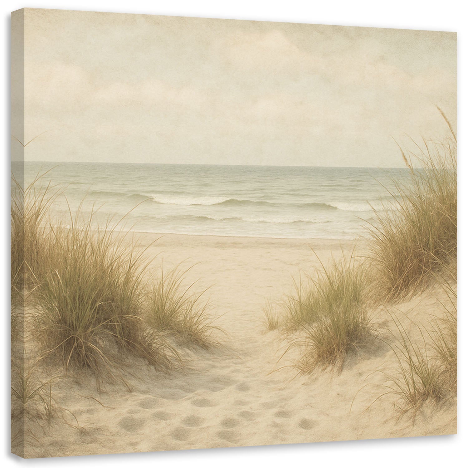 Obraz do salonu sypialni w stylu vintage, Wydmy Plaża Krajobraz 30x30
