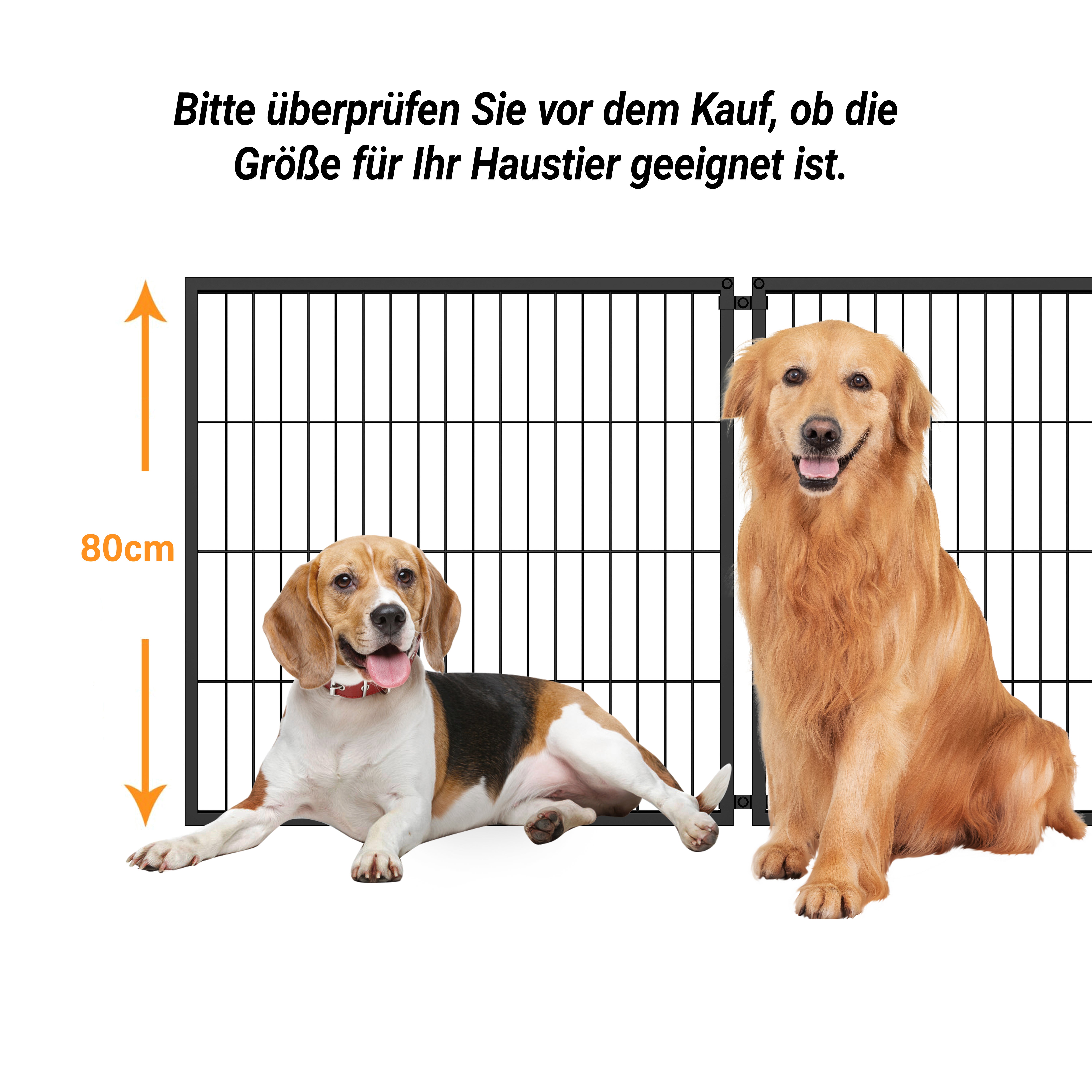Basics Modulare Moradia para Cão 160x80x80 cm, Flexibler Hunde-Käfig mit Sicherheitsdec... - 9