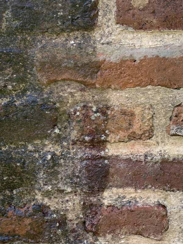 Nettoyant rapide Net Express DALEP Bidon de 20 Litres - 425020 - 2