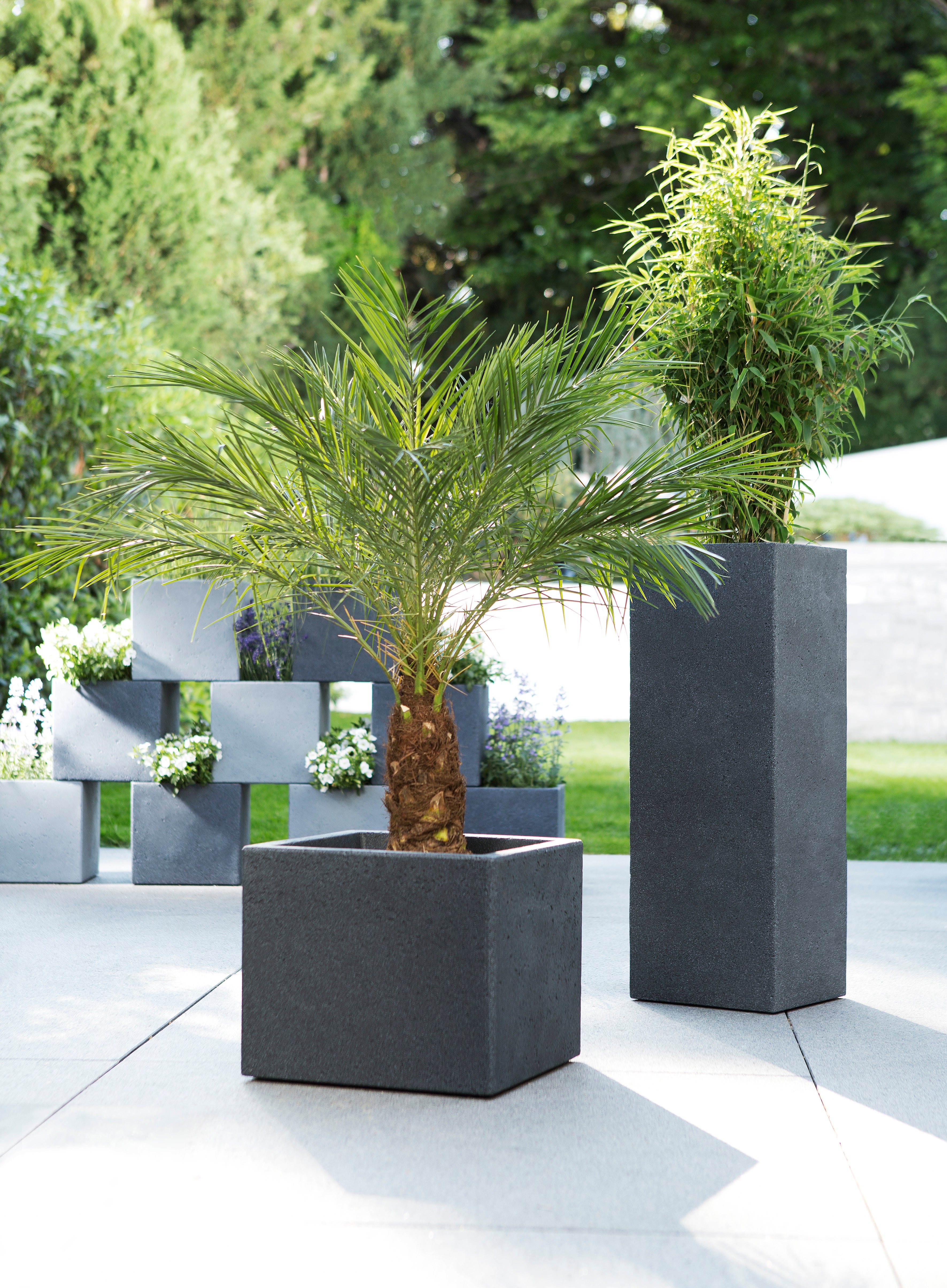 Scheurich C-Cube High 70, vase/pot à fleurs/jardinière, carré, coloris: Stony Black, fabriqué avec du plastique recyclé, pour l’extérieur - 4