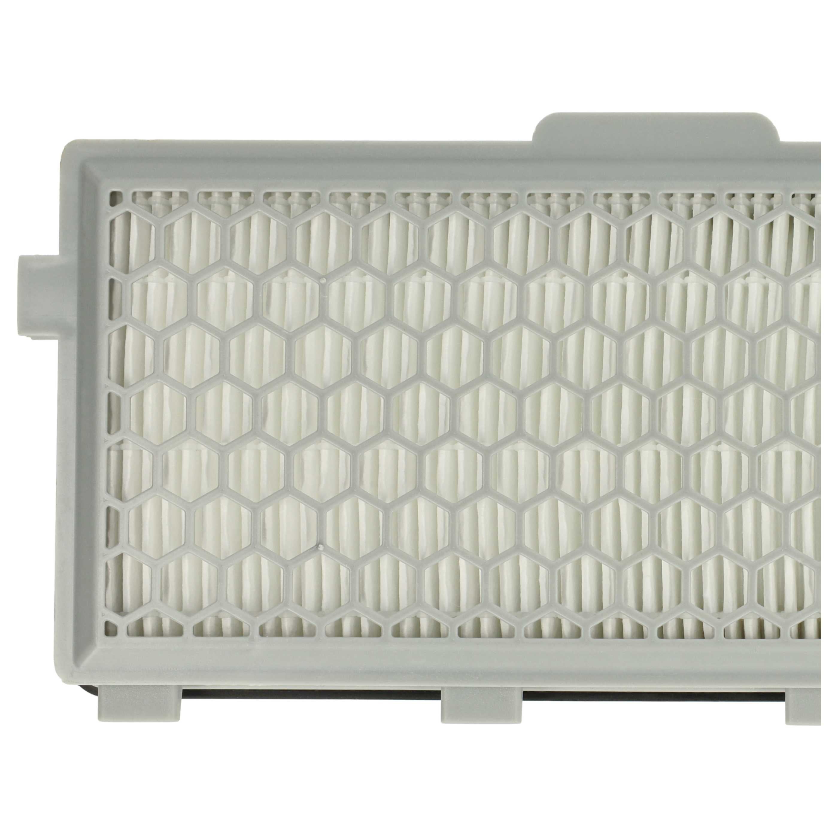 vhbw 2x filtre compatible avec Miele Compact C1, Complete C2, C2, C1 Ecoline, C2 Powerline aspirateur - filtre HEPA d'évacuation H13 - 4