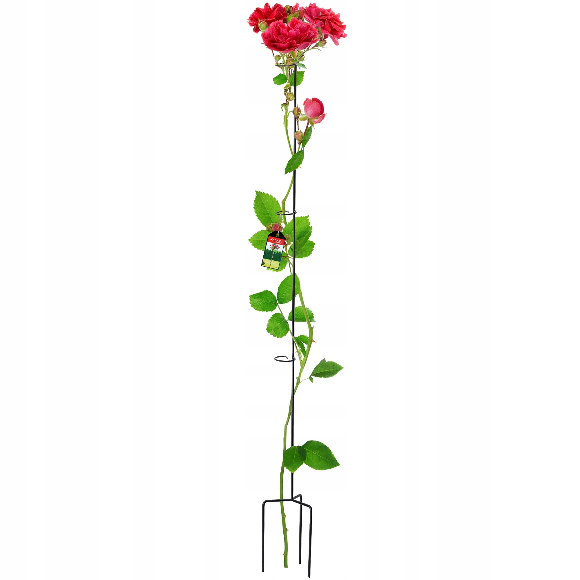 PODPORA DO ROŚLIN KWIATÓW RÓŻ METALOWA KWIETNIK NA KWIATY PODPÓRKA 140 cm
