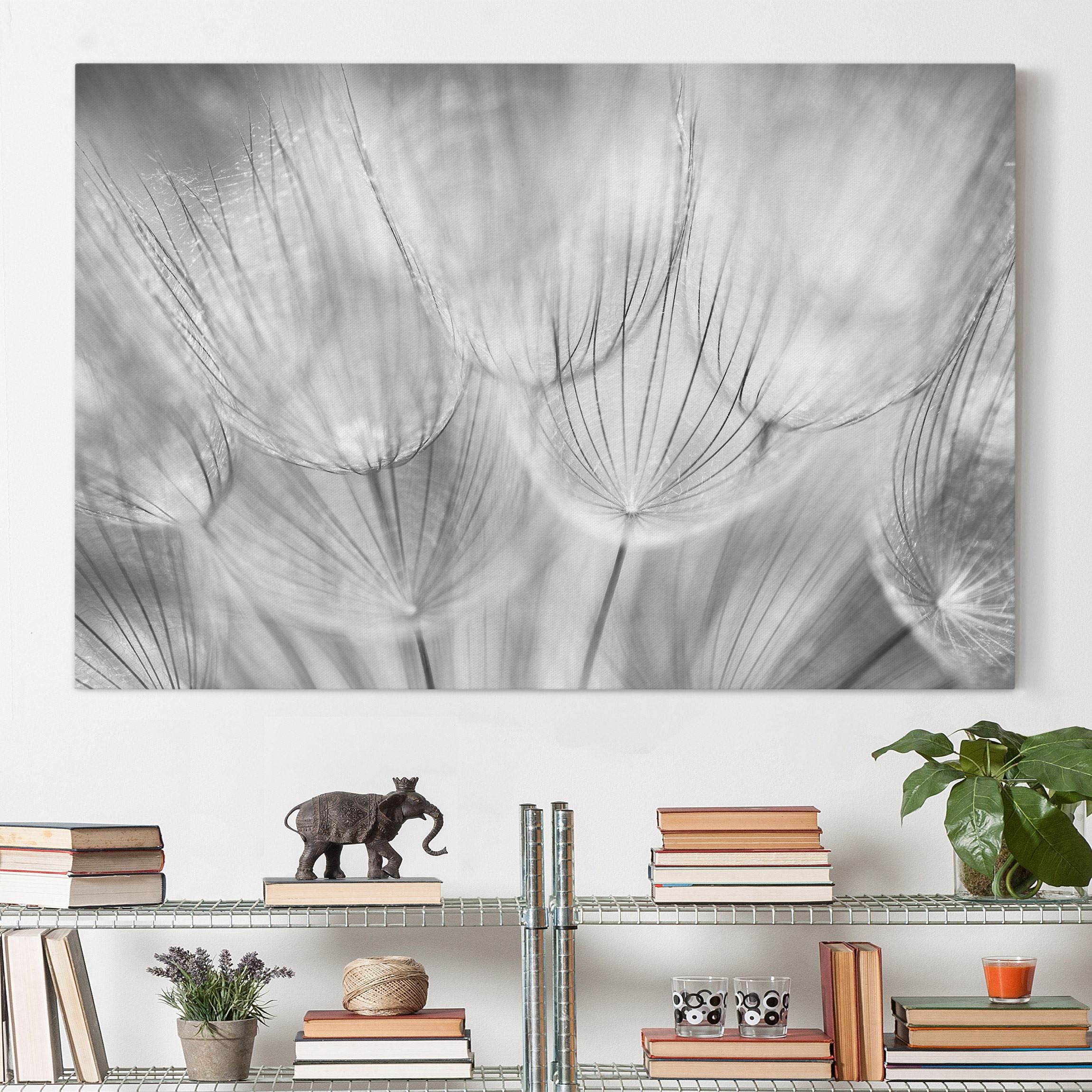 Lienzo cuadro en lienzo bastidor impresion en lienzo blanco y negro botánica prado de flores flores 63 dormitorio salón pasillo 60 x 40 cm