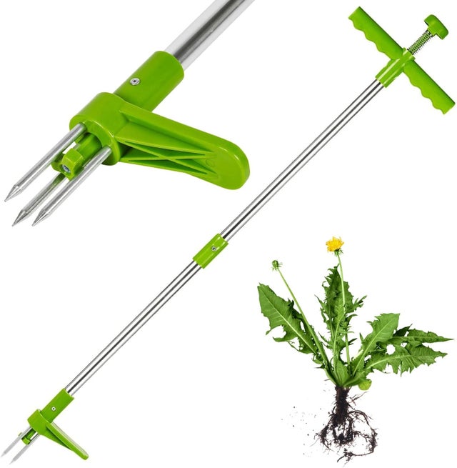 Désherbeur de Mauvaises Herbes en Acier - Outil de Jardinage à Main, Vert