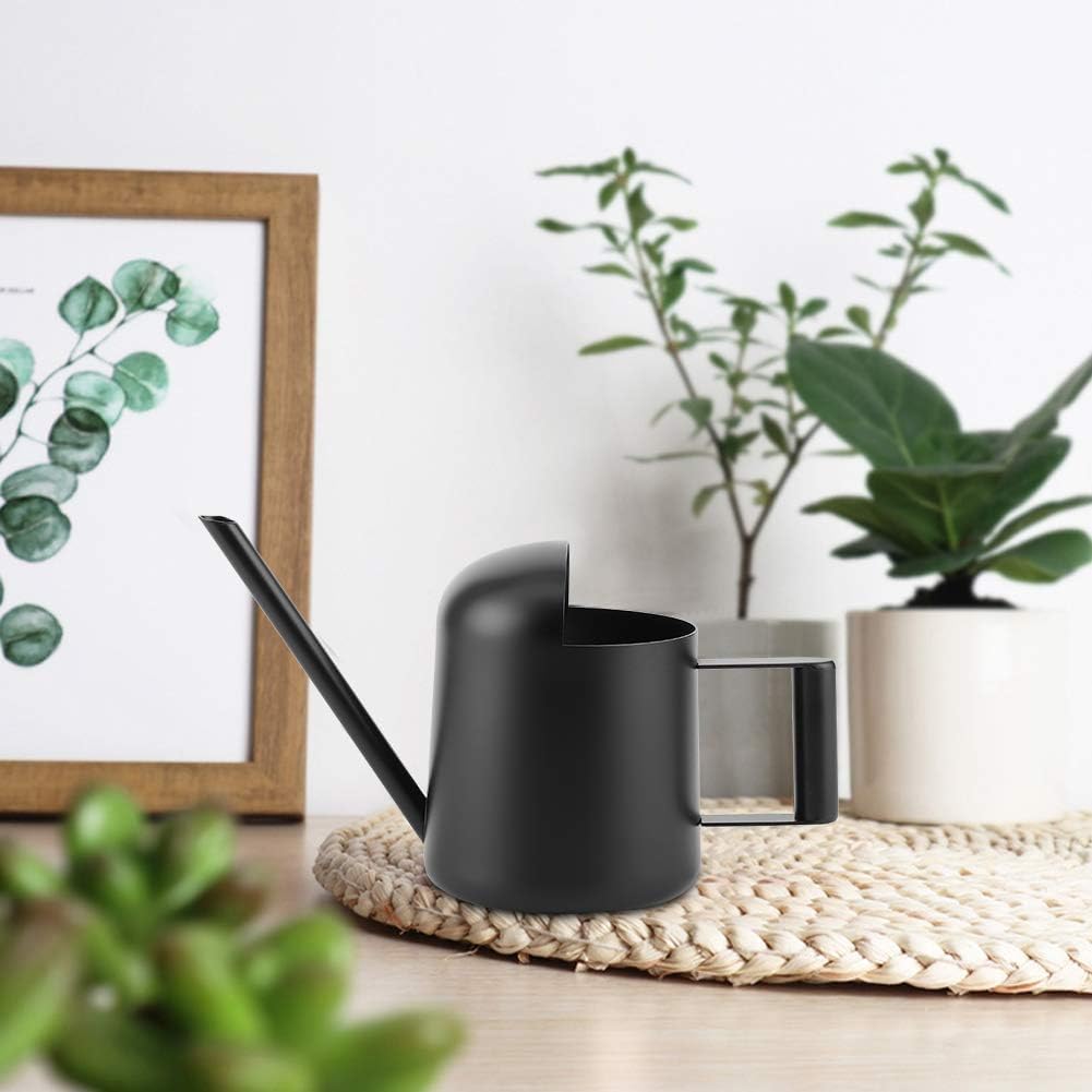 Arrosoir 300ml, Petit arrosoir d'intérieur de 300ml, Arrosoir Plante Interieur, mini arrosoir de jardin en acier inoxydable avec long bec - 3