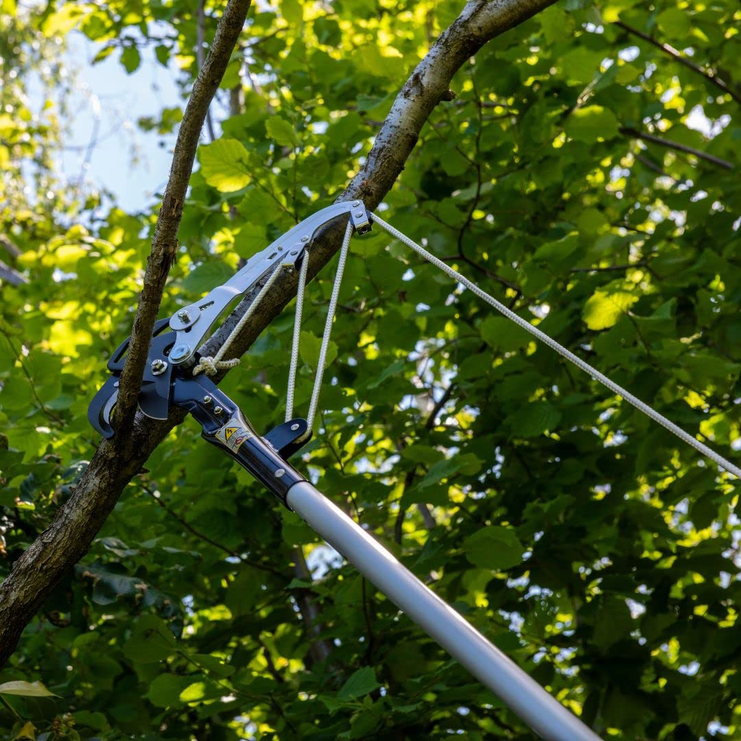 Ciseaux ArboRapid No. 5430 - 5