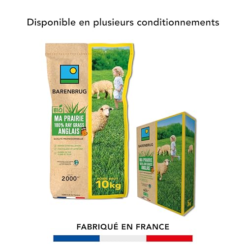 BARENBRUG - Prairie 100% Ray-grass anglais - Rapide d'Installation - Polyvalente et Appétente - Très Bonne Pérennité 4 ans et + - 10KG - 5