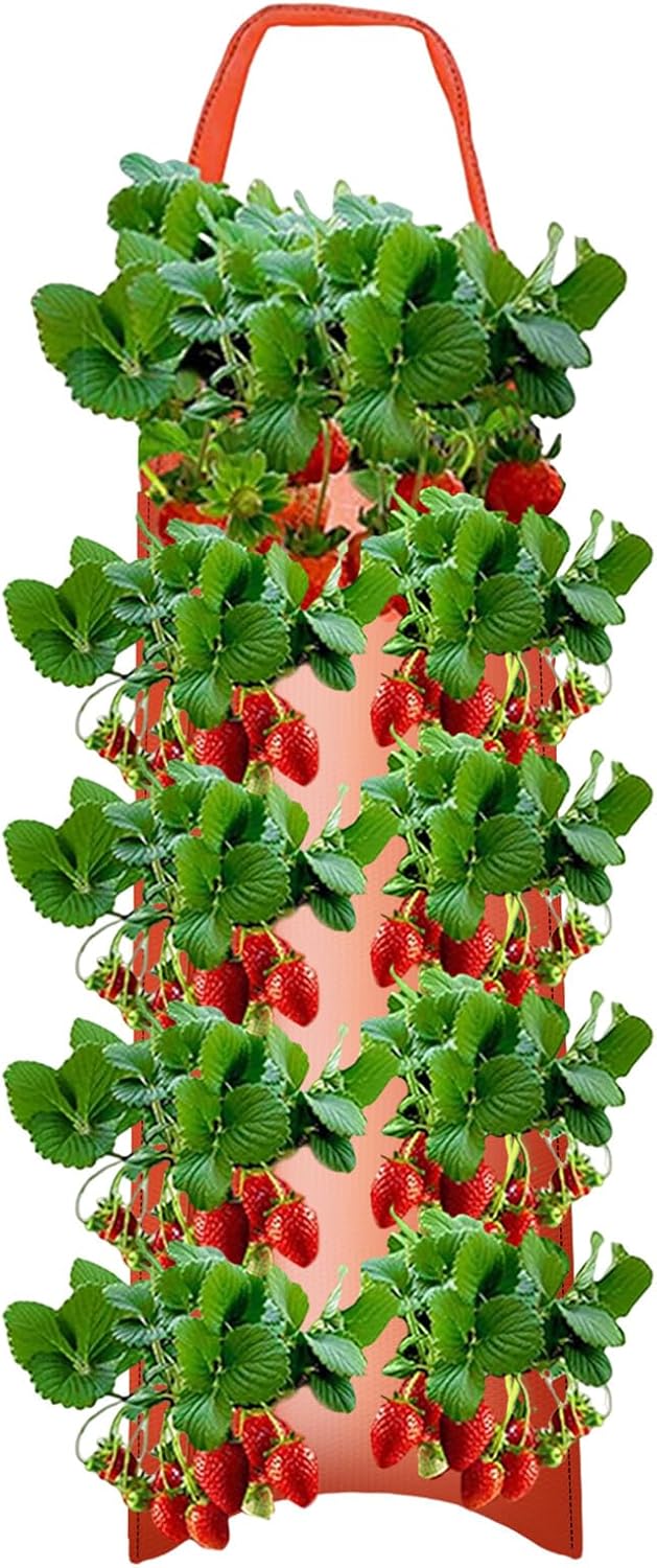 Zestaw 3 wiszących doniczek na truskawki – 10 otworów do sadzenia truskawek, pomidorów, papryki, owoców – czerwone