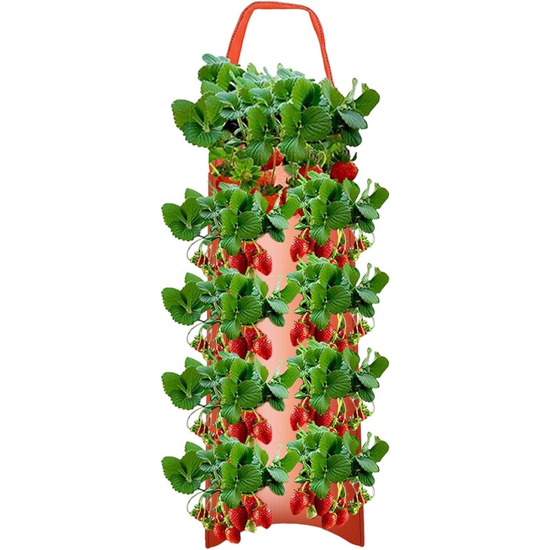 Zestaw 3 wiszących doniczek na truskawki – 10 otworów do sadzenia truskawek, pomidorów, papryki, owoców – czerwone