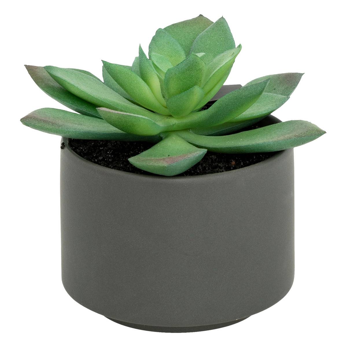 Plante Grasse En Pot H13 Blanc - Atmosphera Créateur d'intérieur - 2