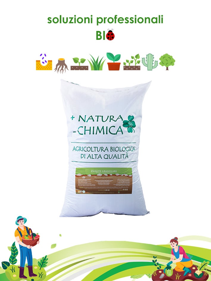Zeolita Granular 1-3 Mm - 3 Kg, Mejora Del Suelo Para Cactus, Trasplantes Y Cultivo Orgánico