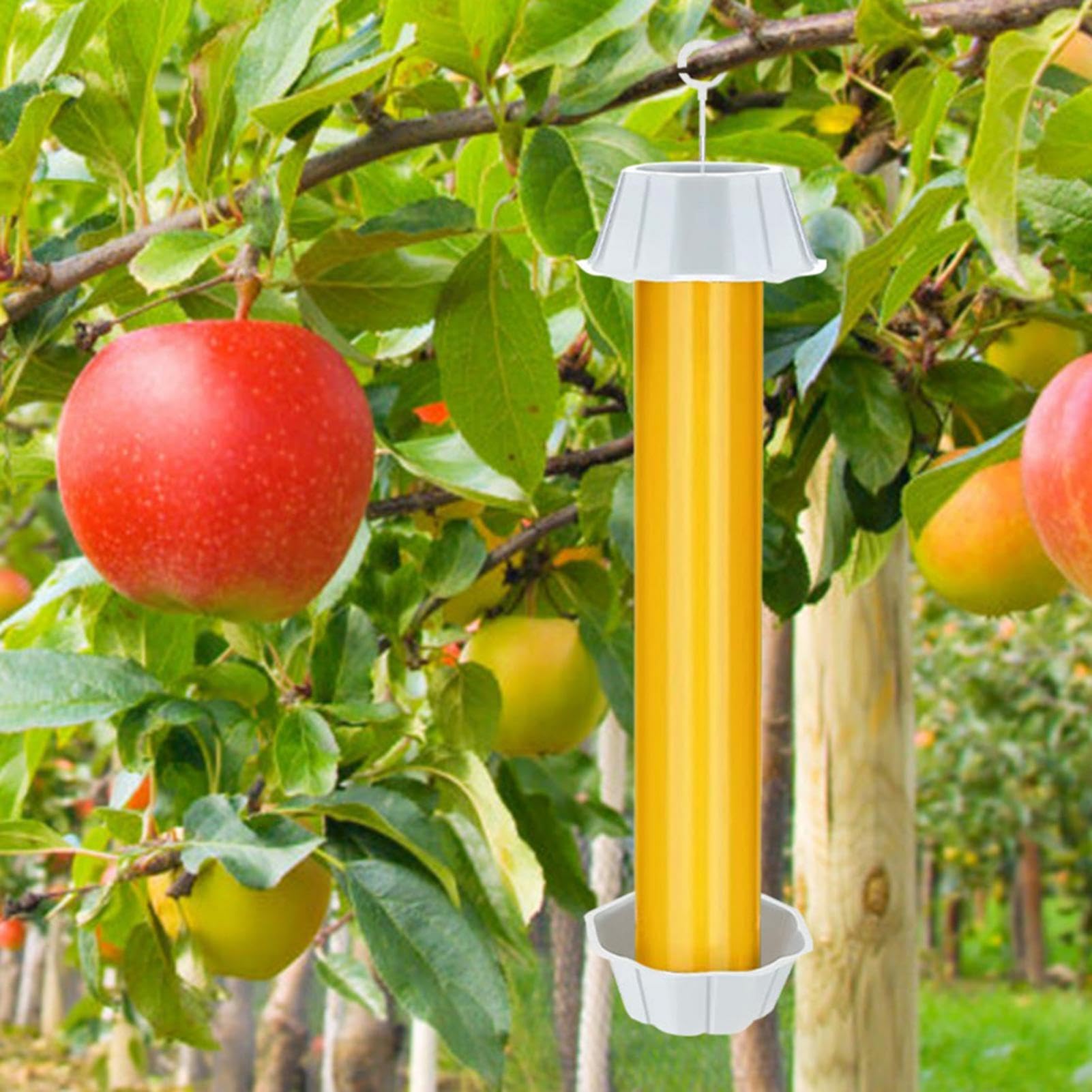 4 confezioni di trappole adesive per mosche per interni ed esterni, adesivi per mosche, acchiappa-zanzare e moscerini della frutta - 6