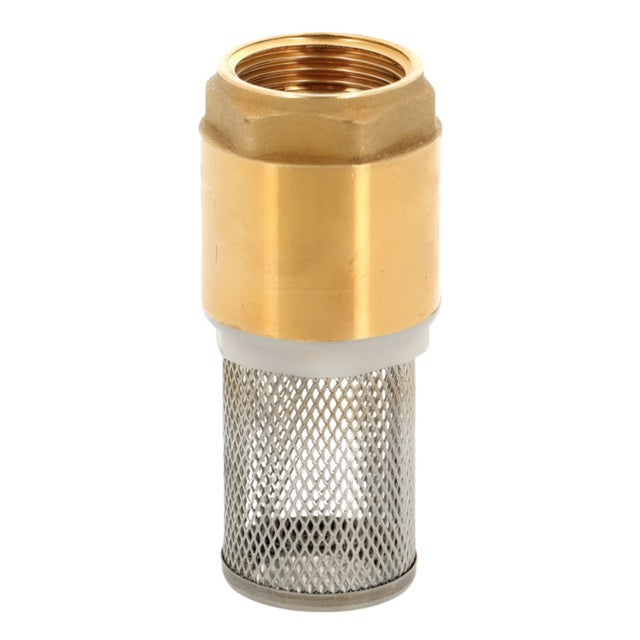 Clapet anti-retour avec crépine inox - Femelle/Femelle - Série 310 26x34