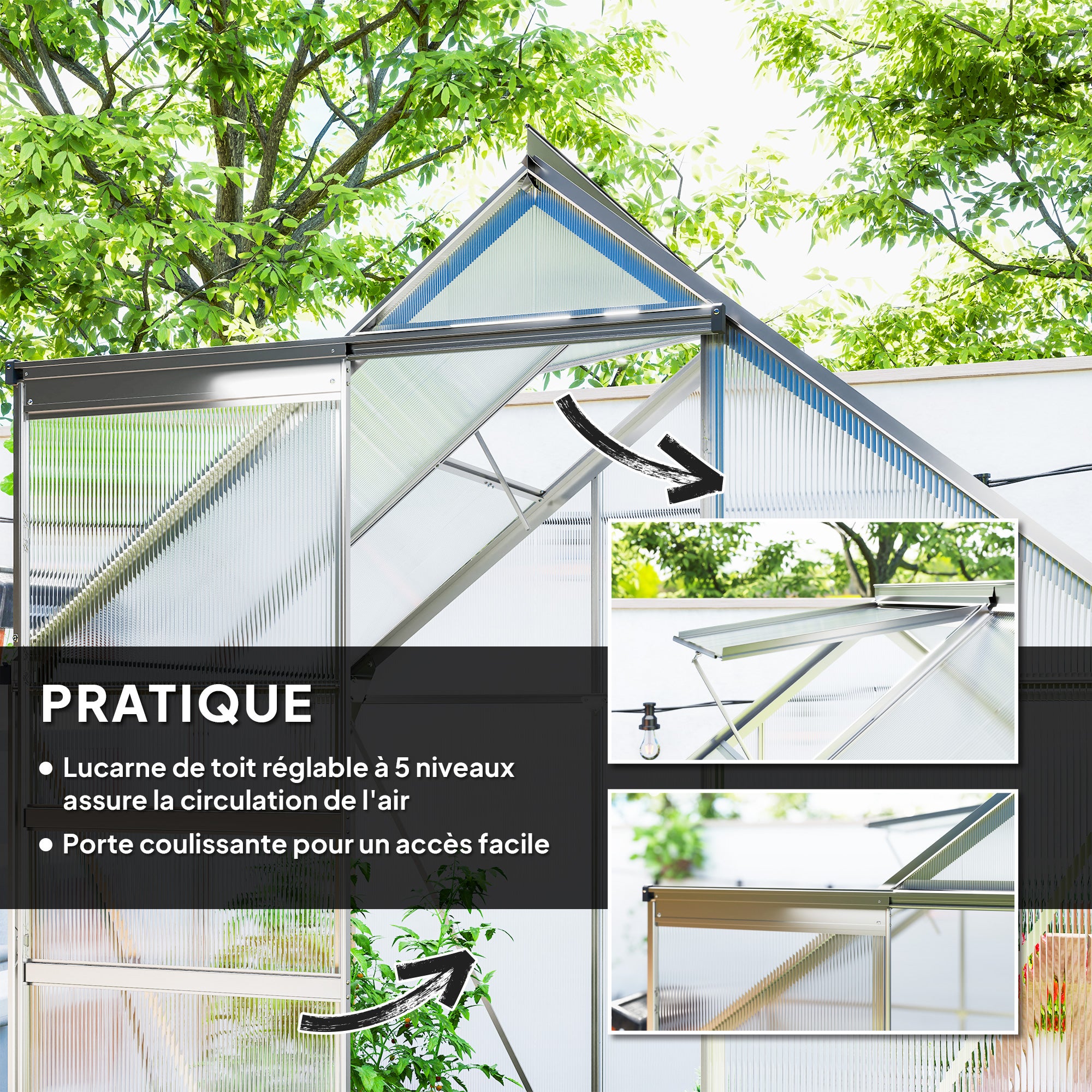 Serre de jardin polycarbonate Outsunny - 5