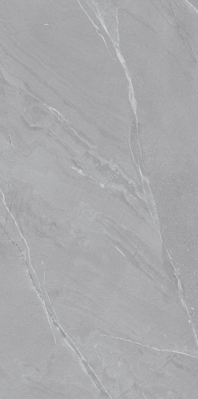 Carrelage sol / mur effet marbre gris LAGOM GREY l.60 x L.120 cm Mat LIMCARO