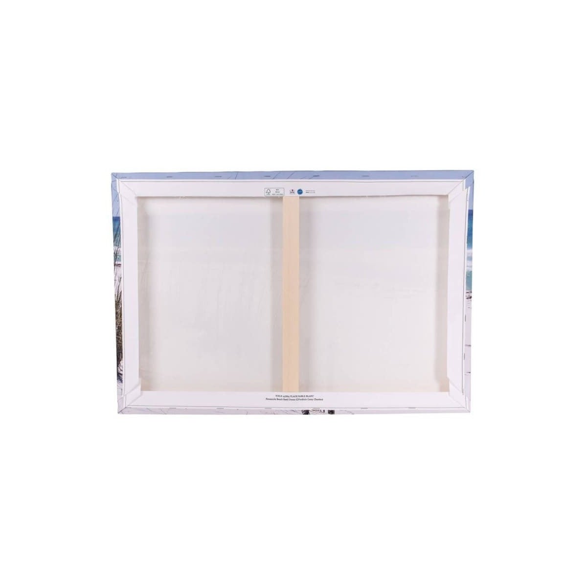 Tableau sur toile photo de lionne 45x65 cm - 2