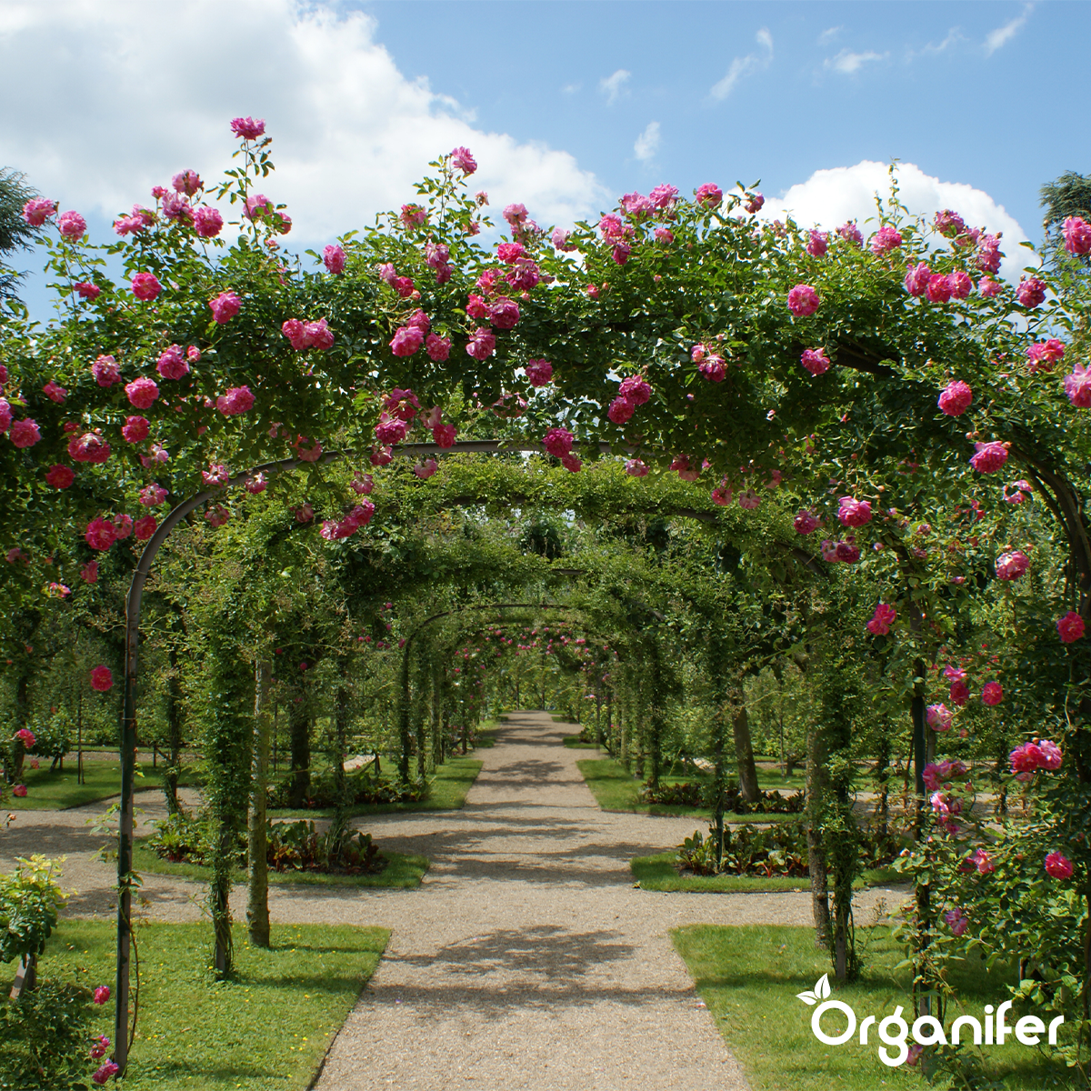 Compost De Vers - Vermicompost - Grand Sac De 1500 Litres Pour 1500M2 - Organifer - 4