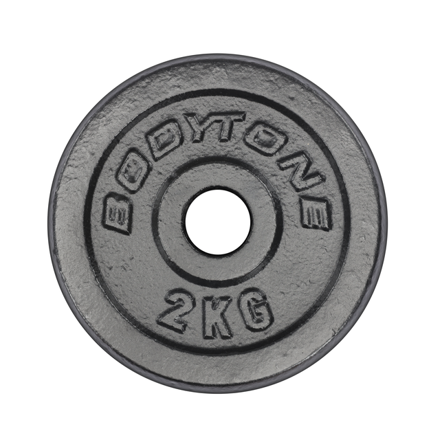 Disco de Ferro 2Kg