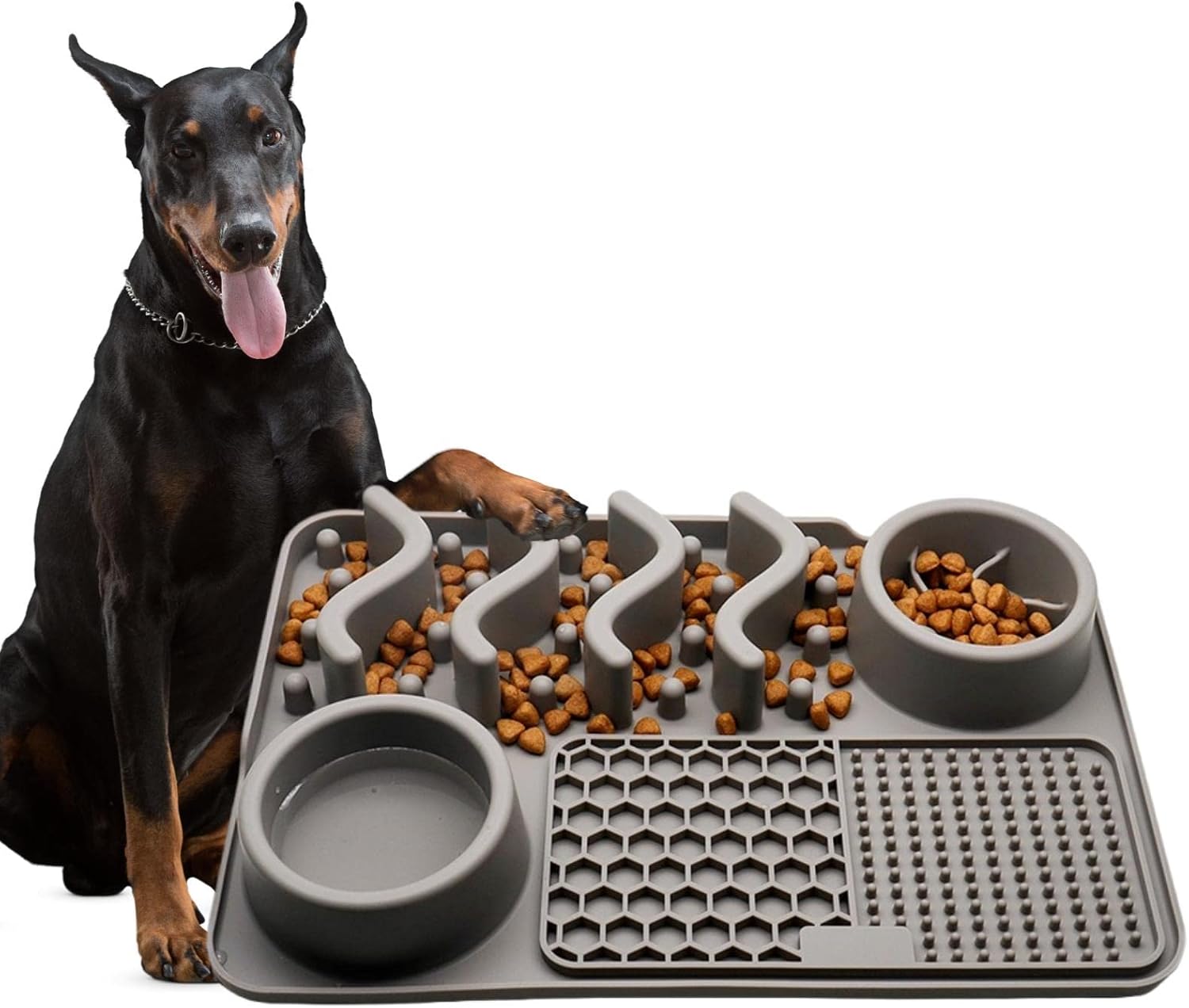 Pies jedzący powoli, pies jedzący powoli, pies zjadający