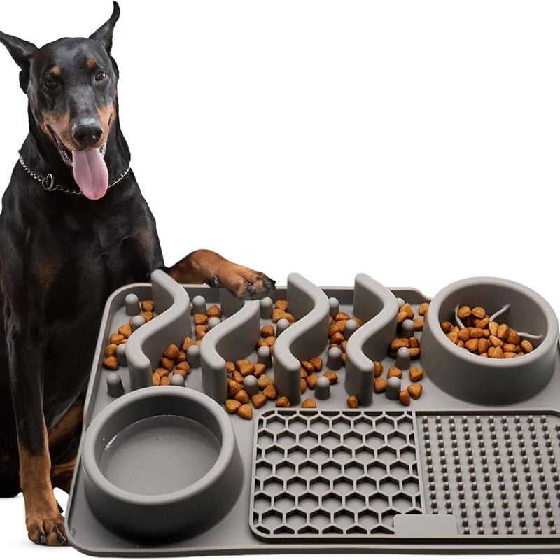 Pies jedzący powoli, pies jedzący powoli, pies zjadający