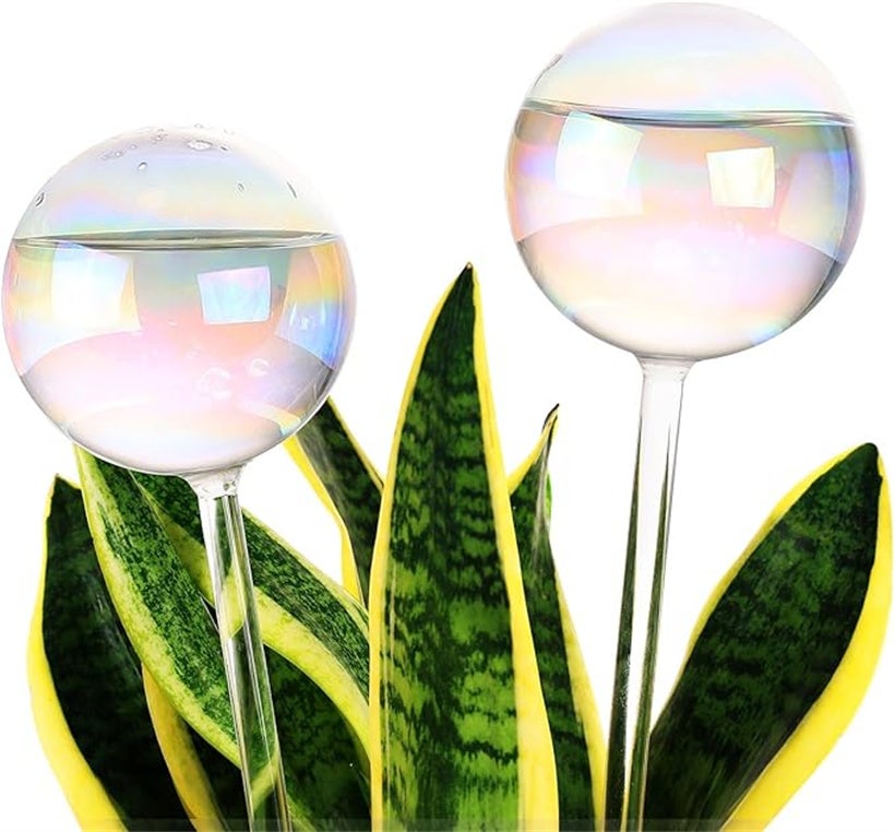 8 Sfere Autoirriganti Per Piante In PVC Trasparente - Dispositivo A Goccia Da Giardino Per Interni/Esterni (5x13,5 Cm)