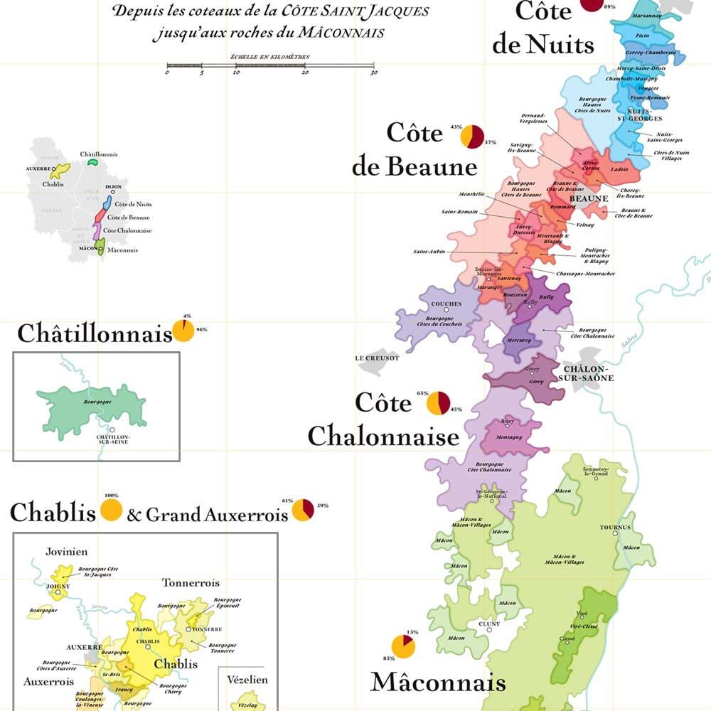 Affiche 50x70 cm - La Carte des Vins de Bourgogne - LA CARTE DES VINS SVP - 3