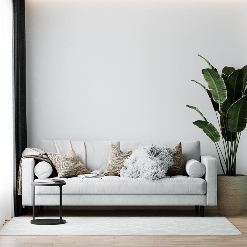 Peinture murs et plafonds Blanc , Velours 12L, peinture biosourcée Colibri - 5