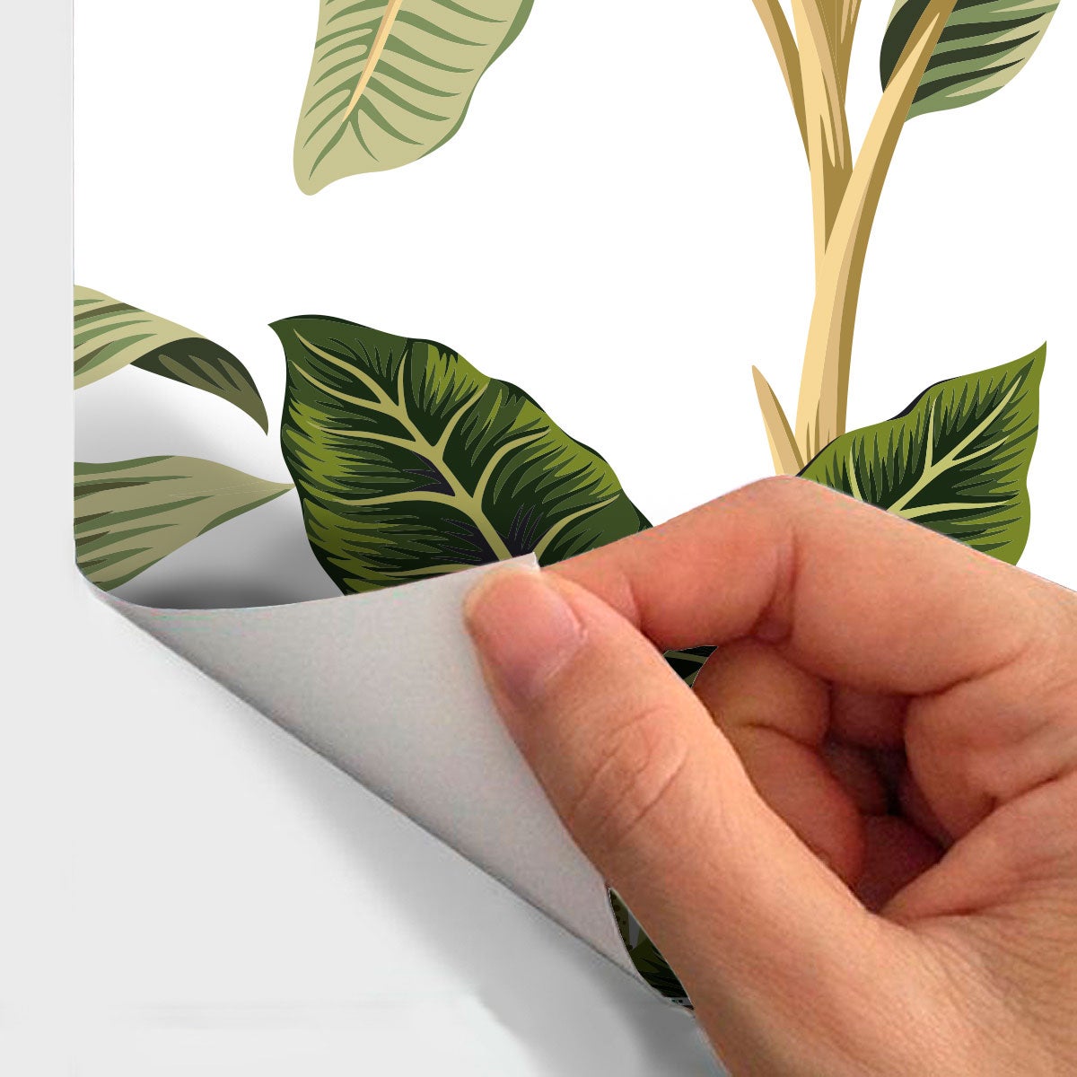 Adesivo arazzo tropicale Cabo Polonio - Sticker adesivo - adesivi murali - 40x40cm - 4