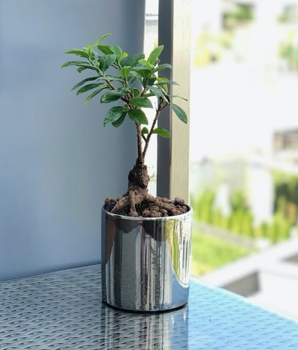 Doniczka donica srebrna ceramiczna połysk ø200 mm osłona cylinder ozdobna - KOTARBAU - 2
