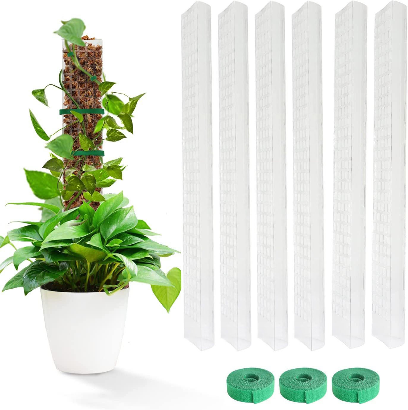 Lot De 6 Poteaux En Plastique De 61 Cm Pour Plantes Monstera, Piquets De Support Empilables Pour Plantes Grimpantes, Support De Plantes D'intérieur Avec Mousse De Sphaigne (61 Cm