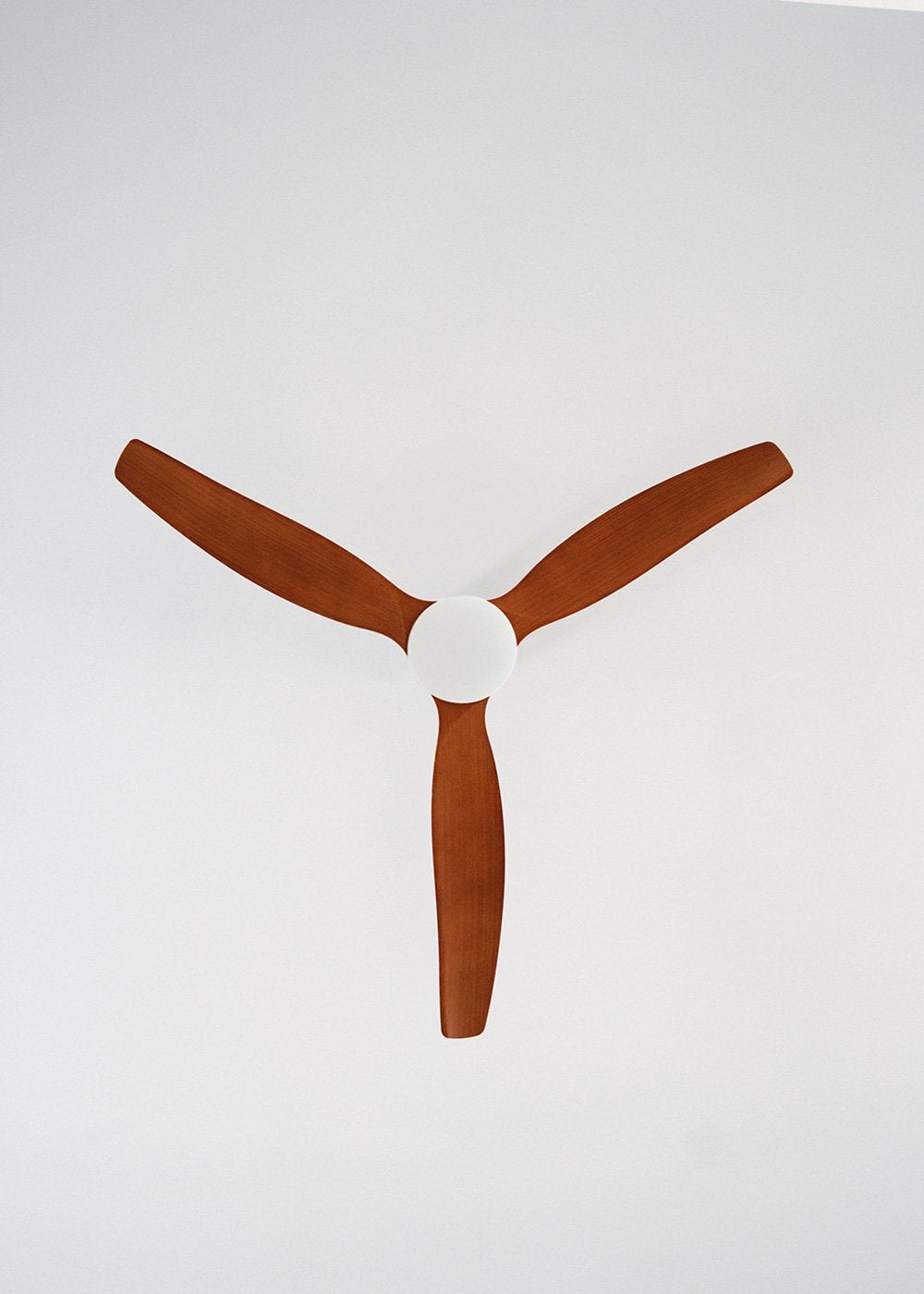 WIND CALM M - Ventilador de teto silencioso de 40 W com pás técnicas em ABS de vários tamanhos - Com luz - sem wifi - 8