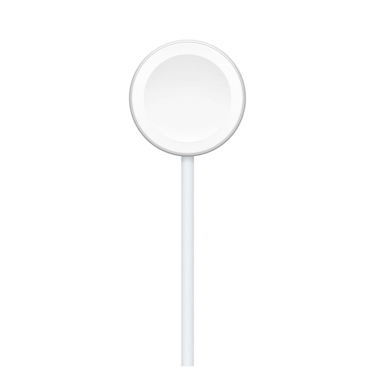 Chargeur induction APPLE magnétique Apple Watch vers USB-C 1m - 2