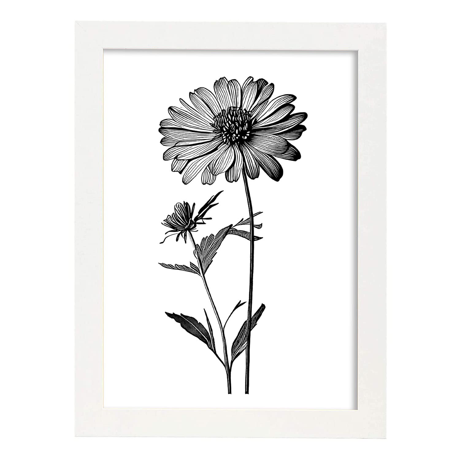 Nacnic poster de zinnia estilo nórdico ilustraciones de botánica con flores y plantas en blanco y negro diseño y a3 con marco blancos