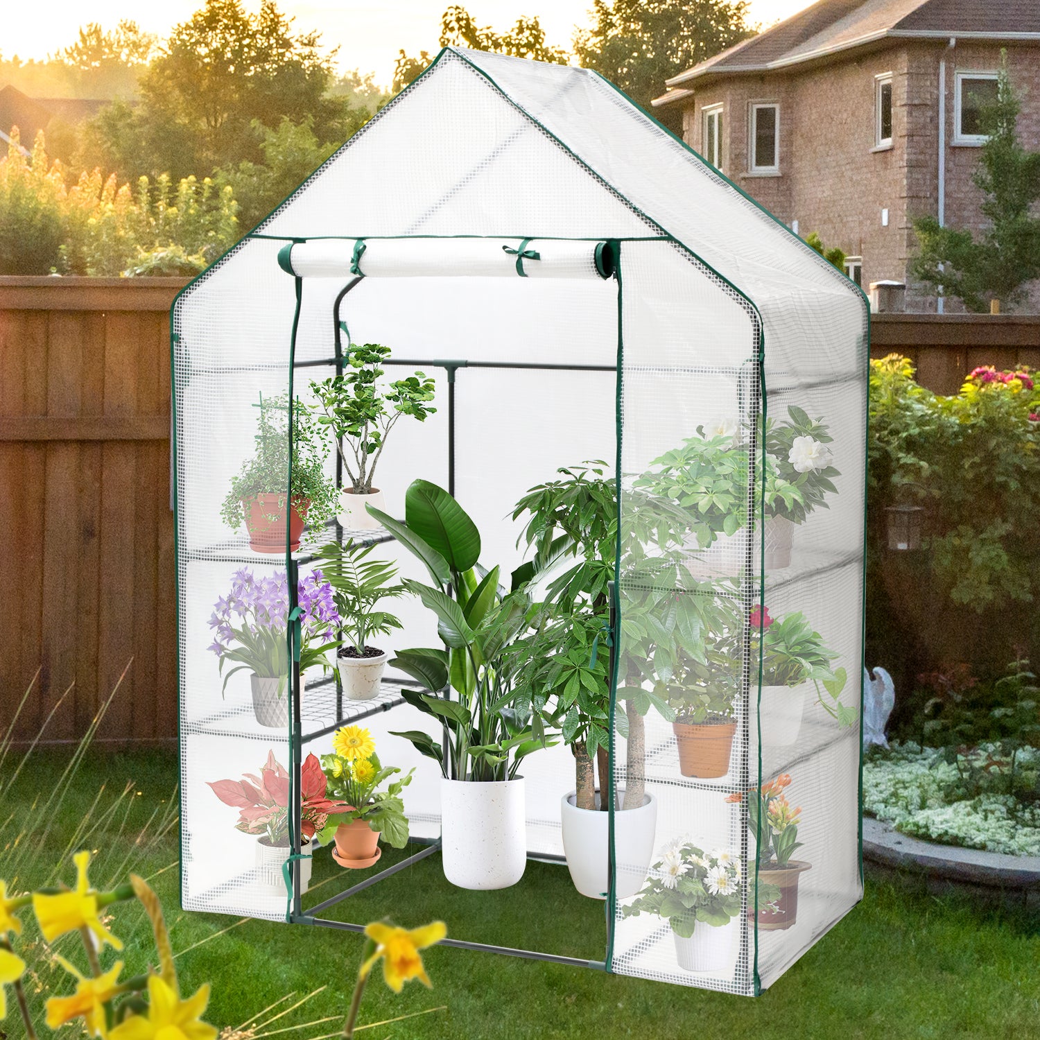 Froadp Serra Piccola Casetta Per Piante In HDPE - Telaio In Ferro, 180x90x90 Cm, 2 Porte A Rullo - Impermeabile E Resistente Ai Raggi UV - Per Giardino, Balcone E Terrazzo