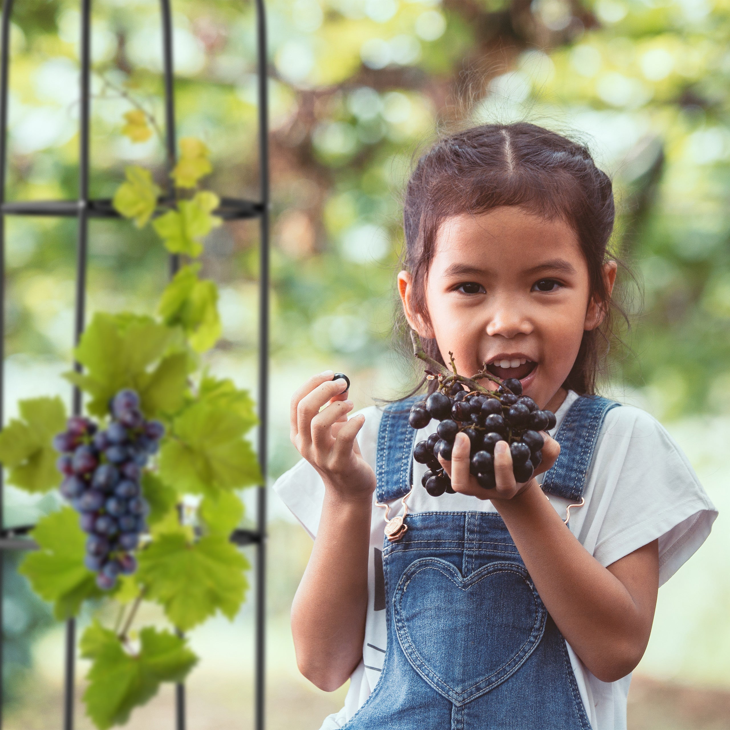 Trellis obélisque, 190 m de hauteur, Support pour plantes grimpantes, en métal, tour pour rosier, noir, Relaxdays - 3