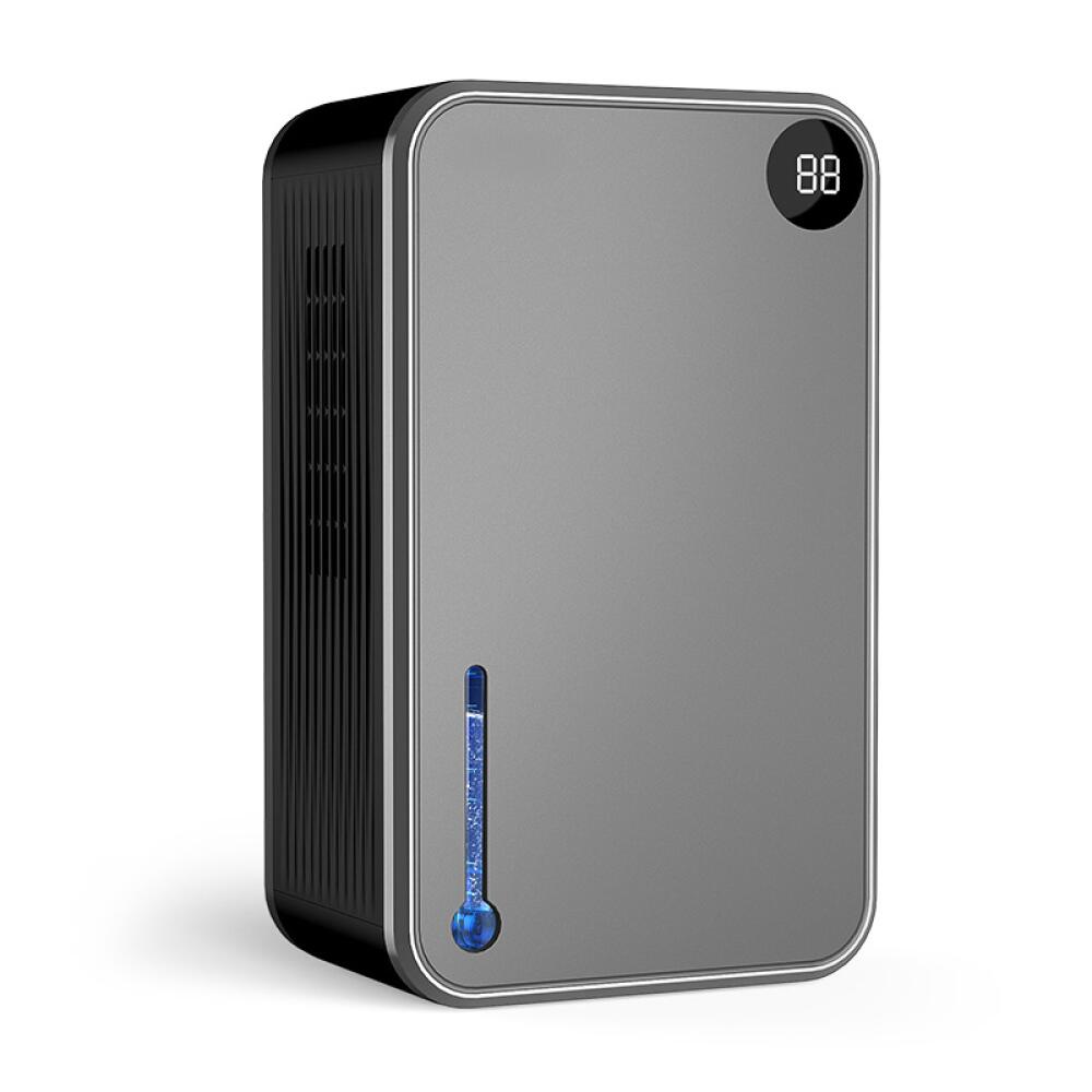 Mini Portatile Deumidificatore Elettrico con Telecomando Ambiente Casa 42W Deumidificatori D'Aria per Muffa Umidità, Asciugatrice Silenzioso Timer 24H, 2500ml, Auto-off, per Bagno Ambienti Armadio