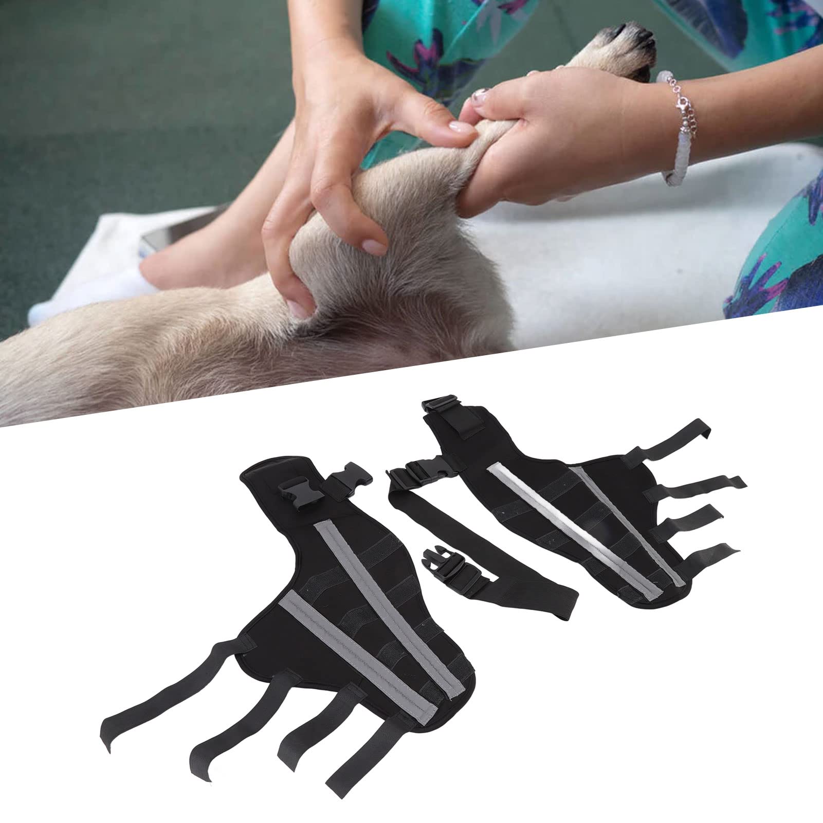 Rodillera para perros, duradera, ajustable, de neopreno, doble soporte para patas traseras para perros, cómoda - 2