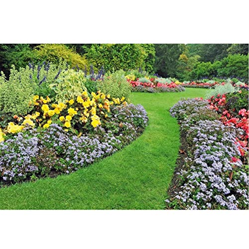 Bordure de jardin (Marron - 10cm) - 2