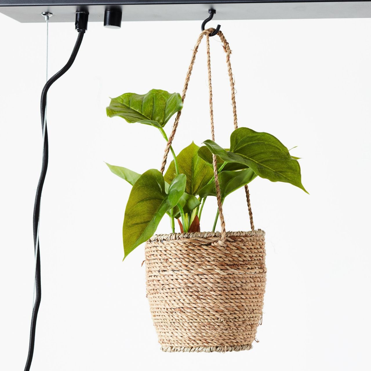 Lampa BRILLIANT, zawieszenie Bankwood 5 płomieni czarny / kolor drewna, 5x A60, E27, 28W, drewno ze zrównoważonej gospodarki leśnej (FSC) - 6