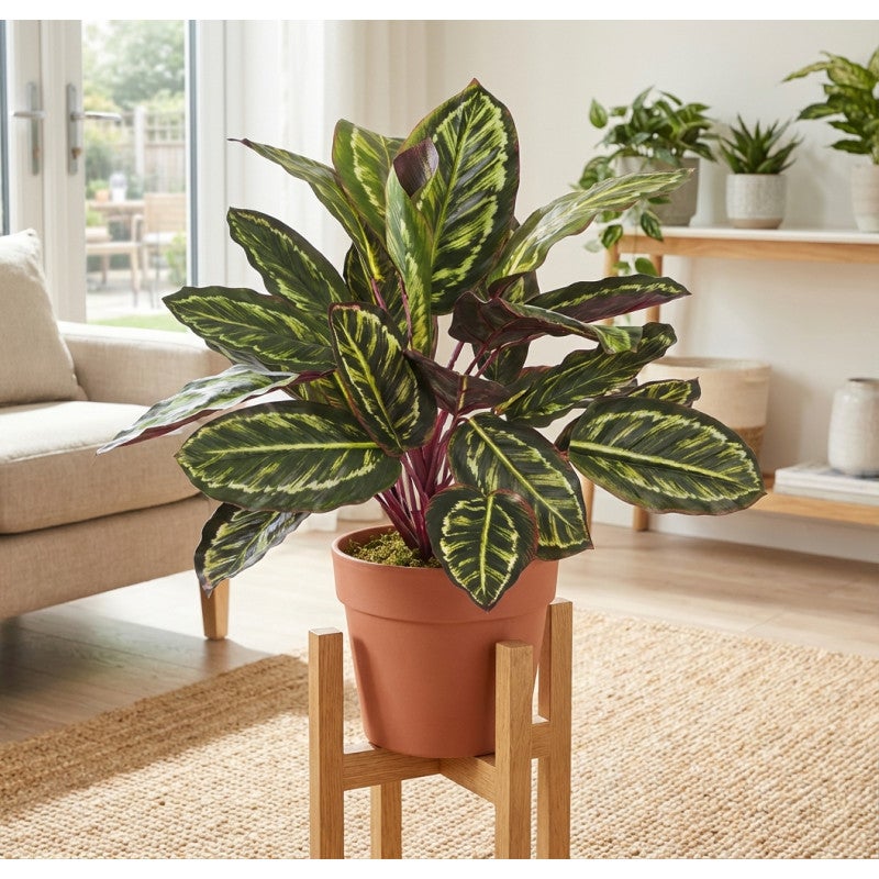 Plante Artificielle Calathea Zebra 49cm avec pot | Plantes en plastique pour la décoration de jardin intérieur et extérieur - 5
