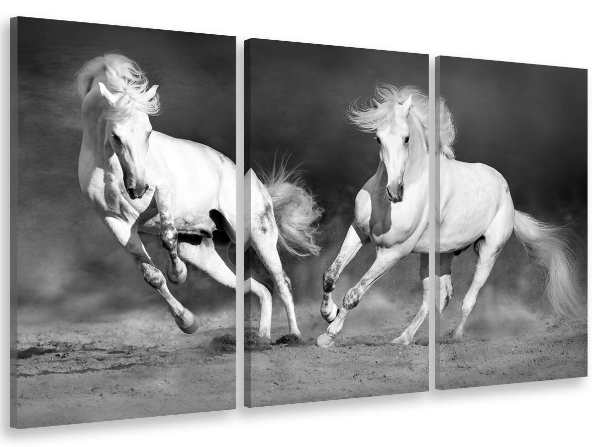 Cuadro tríptico, cuadro caballo camarguais blanco y negro , 90x60cm